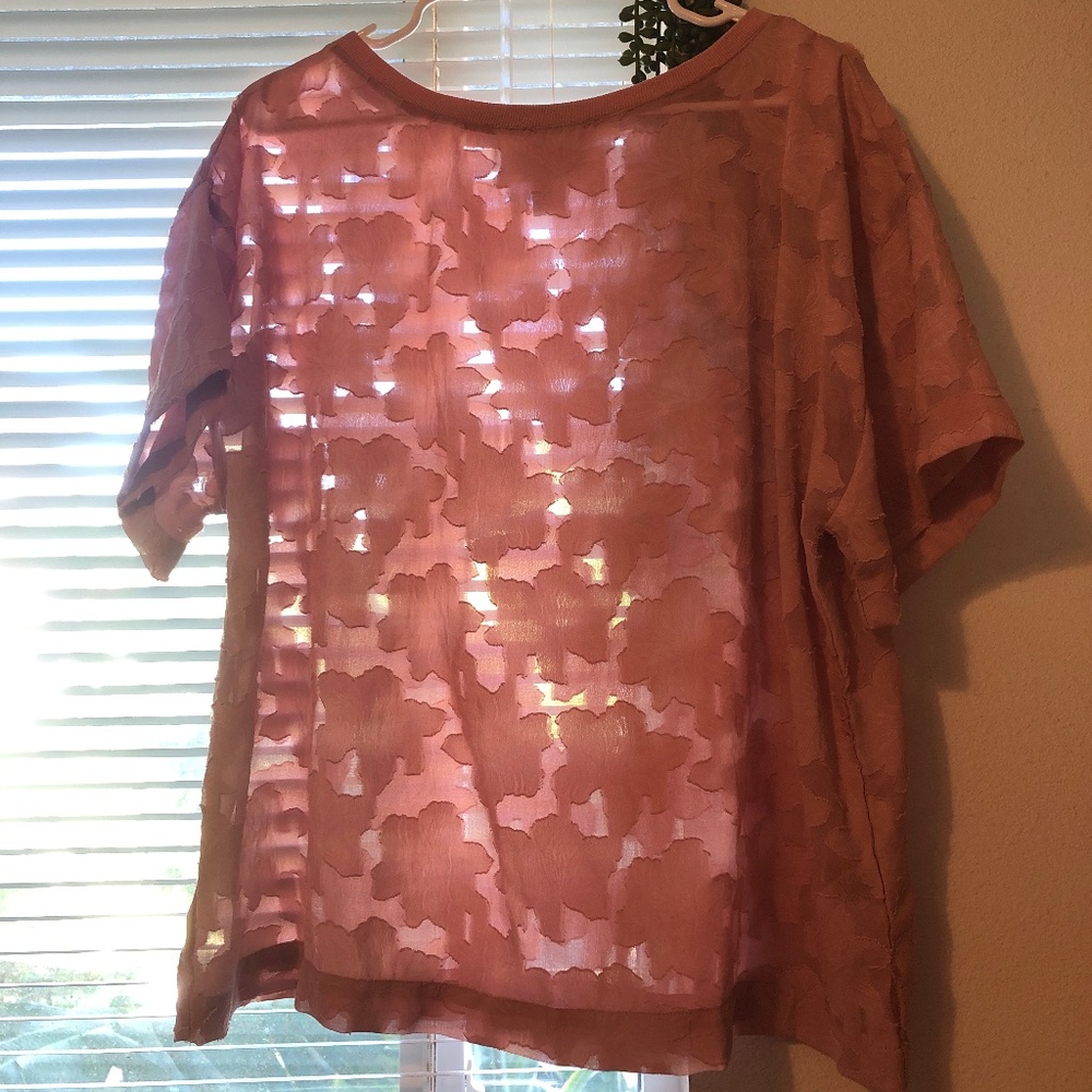** Nordstrom Rack ** Pink Floral Sheer Blouse